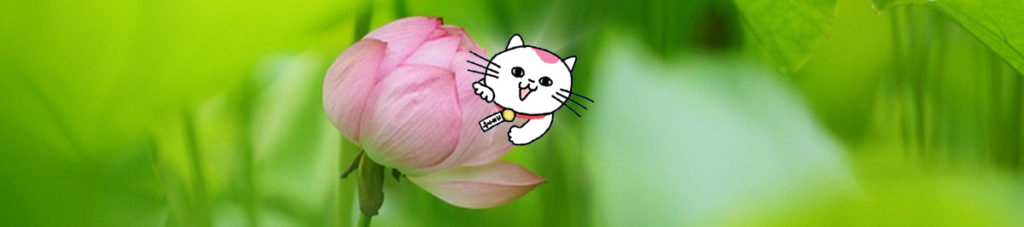 東葛支部運輸業務研究会